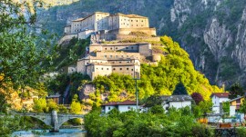 Bard - Elitravo-shutterstock.com